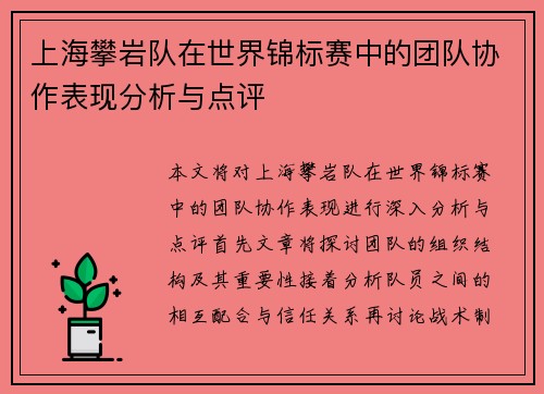上海攀岩队在世界锦标赛中的团队协作表现分析与点评